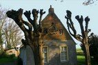 Mirns huisje met knotbomen